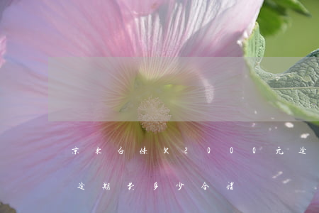 京东白条欠2000元逾期一个月（狗东白条逾期费多少合理）
