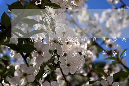 京东白条欠2000多两年了(京东白条欠了2000多欠1年多了会上门吗)