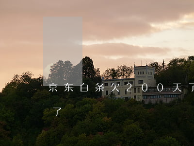 京东白条欠200天了(京东白条欠200天了)