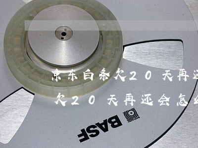 京东白条欠20天再还会怎么样-京东白条欠20天再还会怎么样吗