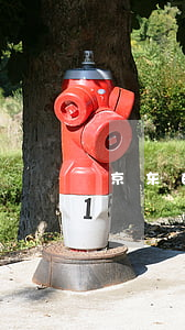 京东白条欠2千(我欠京东白条六千多)
