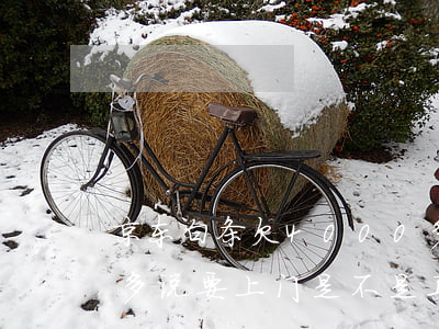 京东白条欠4000多上门(京东白条欠1万多说要上门是不是真的)