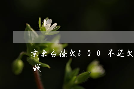 京东白条欠500不还(欠京东白条200块钱)