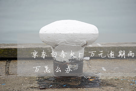 京东白条欠5万元逾期两年（京东白条逾期5万怎么办）