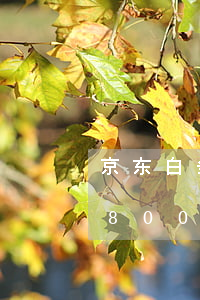 京东白条欠7000会上门吗(京东白条欠款8000会不会上门)