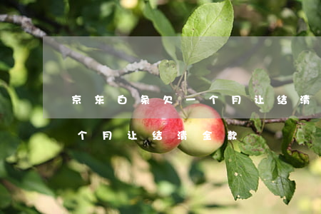 京东白条欠一个月让结清全款(京东白条欠一个月让结清全款)