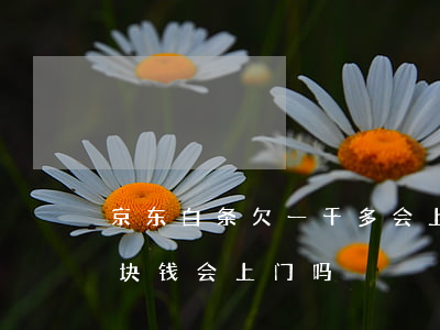 京东白条欠一千多会上门吗(京东白条欠四千块钱会上门吗)