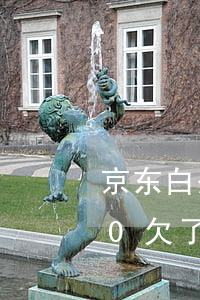 京东白条欠一年利息(京东白条欠款10000欠了三年)