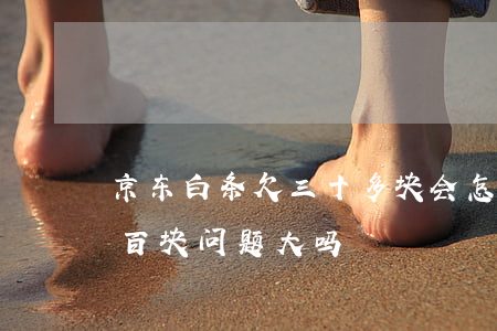 京东白条欠三十多块会怎么样(京东白条欠一百块问题大吗)