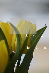 京东白条欠三千块会起诉吗(京东白条欠三千块会起诉吗)