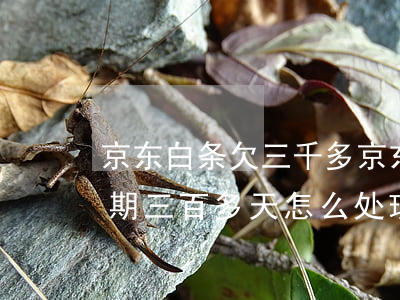 京东白条欠三千多(京东白条欠三千多块钱逾期三百多天怎么处理)