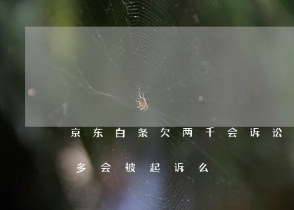 京东白条欠两千会诉讼吗(京东白条欠款两千多会被起诉么)