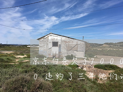 京东白条欠了7000(京东白条欠了7000违约了三年他们说冻结卡)