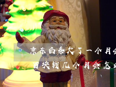 京东白条欠了一个月会怎么样(京东白条欠一百块钱几个月会怎么样)