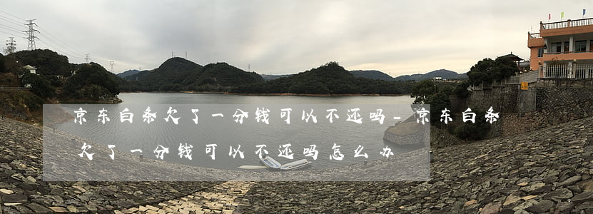 京东白条欠了一分钱可以不还吗-京东白条欠了一分钱可以不还吗怎么办