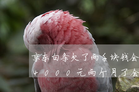 京东白条欠了两千块钱会上门吗(欠京东白条4000元,两个月了,会不会上门)