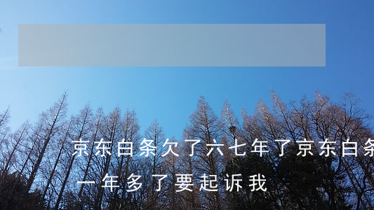 京东白条欠了六七年了(京东白条六千多逾期一年多了要起诉我)