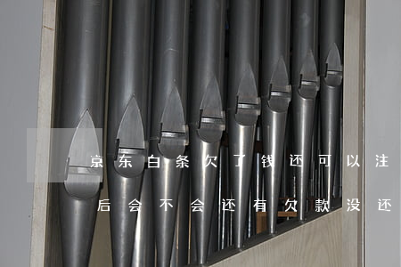 京东白条欠了钱还可以注销吗(京东白条注销后会不会还有欠款没还)