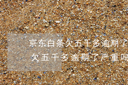 京东白条欠五千多逾期了严重吗-京东白条欠五千多逾期了严重吗怎么办