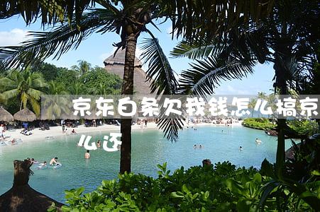 京东白条欠我钱怎么搞(京东白条欠一分钱怎么还)