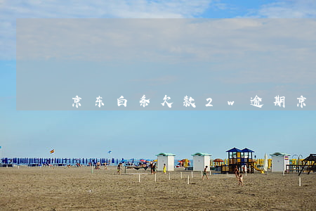 京东白条欠款2w逾期(京东白条欠款两年)