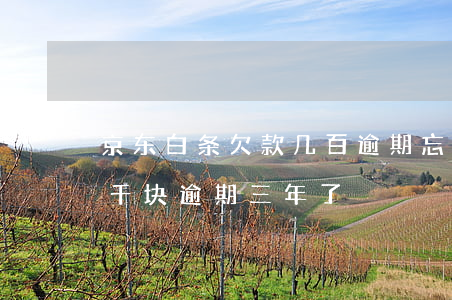 京东白条欠款几百逾期忘还了(欠京东白条两千块逾期三年了)