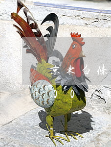 京东白条欠款逾期600天（京东白条借款600逾期65天）