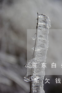 京东白条欠钱逾期了能不能还本金-京东白条欠钱逾期了能不能还本金呢