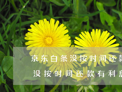 京东白条没按时间还款有利息吗-京东白条没按时间还款有利息吗怎么办