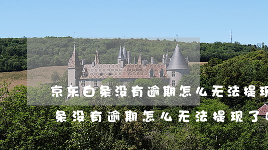 京东白条没有逾期怎么无法提现了-京东白条没有逾期怎么无法提现了呢