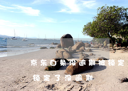 京东白条没逾期被锁定了(京东白条为什么被锁定了没逾期)