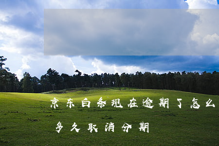 京东白条现在逾期了怎么分期（京东白条逾期多久取消分期）