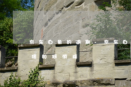 京东白条的逾期-京东白条的逾期进去了征信,如何消除