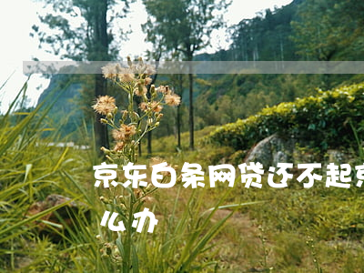 京东白条网贷还不起 京东白条网贷还不起怎么办