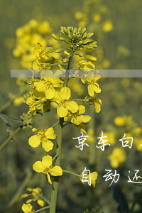 京东白条自动分期还款什么意思-京东白条自动还款有风险吗