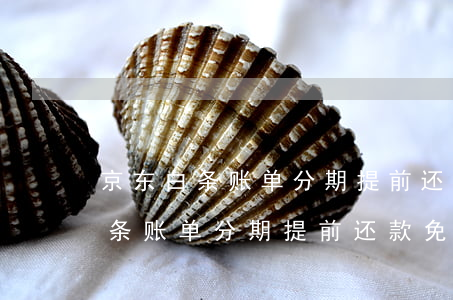 京东白条账单分期提前还款免息吗-京东白条账单分期提前还款免息吗是真的吗