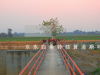 京东白条转结算逾期吗-京东白条能转账吗