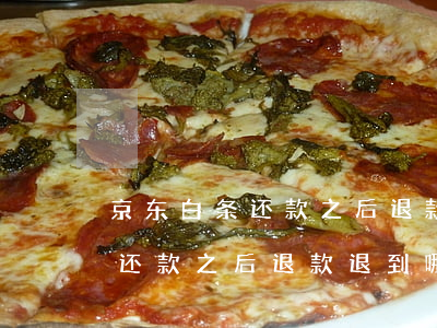 京东白条还款之后退款退到哪里-京东白条还款之后退款退到哪里了