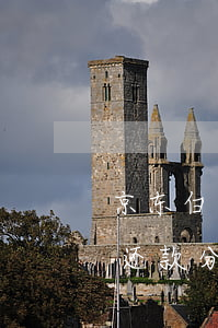 京东白条还款分期了还能分期吗-京东白条还款分期了还能分期吗怎么还
