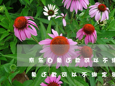 京东白条还款可以不绑定银行卡吗-京东白条还款可以不绑定银行卡吗安全吗