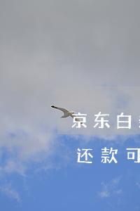 京东白条还款可以用什么方式还-京东白条还款可以用什么方式还款