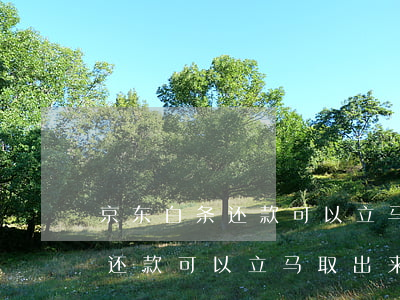 京东白条还款可以立马取出来吗-京东白条还款可以立马取出来吗安全吗