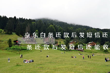 京东白条还款后发短信还能收到吗-京东白条还款后发短信还能收到吗是真的吗