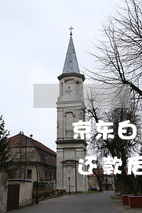 京东白条还款后可以立即分期吗-京东白条还款后可以立即分期吗安全吗
