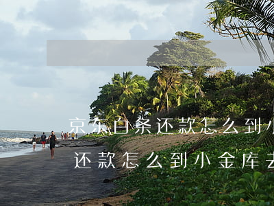 京东白条还款怎么到小金库去了-京东白条还款怎么到小金库去了呢