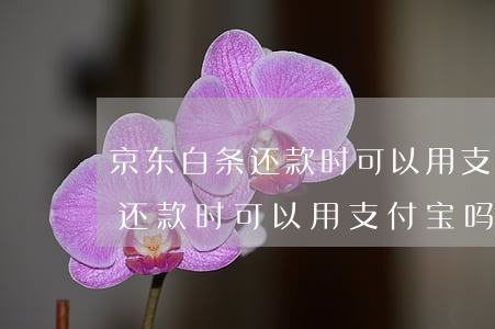 京东白条还款时可以用支付宝吗-京东白条还款时可以用支付宝吗安全吗