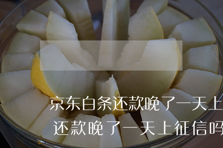 京东白条还款晚了一天上征信吗-京东白条还款晚了一天上征信吗有影响吗