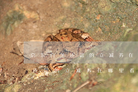 京东白条还款的立减券在哪里看-京东白条还款的立减券在哪里看到