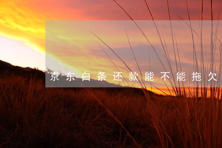 京东白条还款能不能拖欠(京东白条欠钱不还)