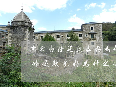京东白条还款良好为什么还降额度-京东白条还款良好为什么还降额度了